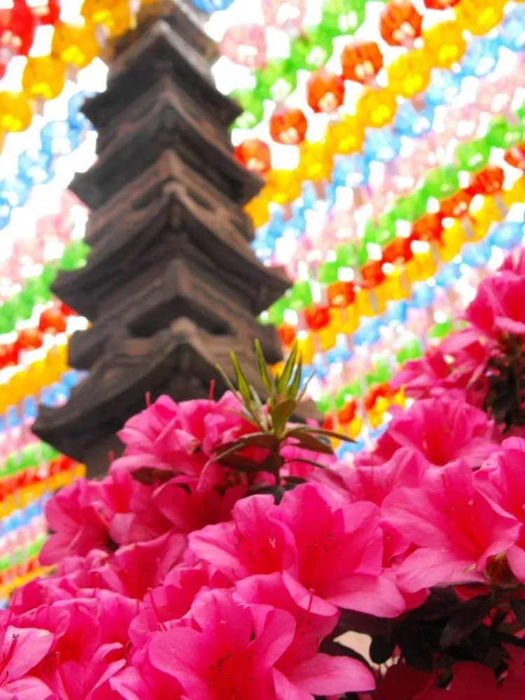 Destination: Lotus Lantern Festival 2009 (Seoul, South Korea) Destination: Lotus Lantern Festival 2009 (Seoul, South Korea) - Festivals, South Korea -