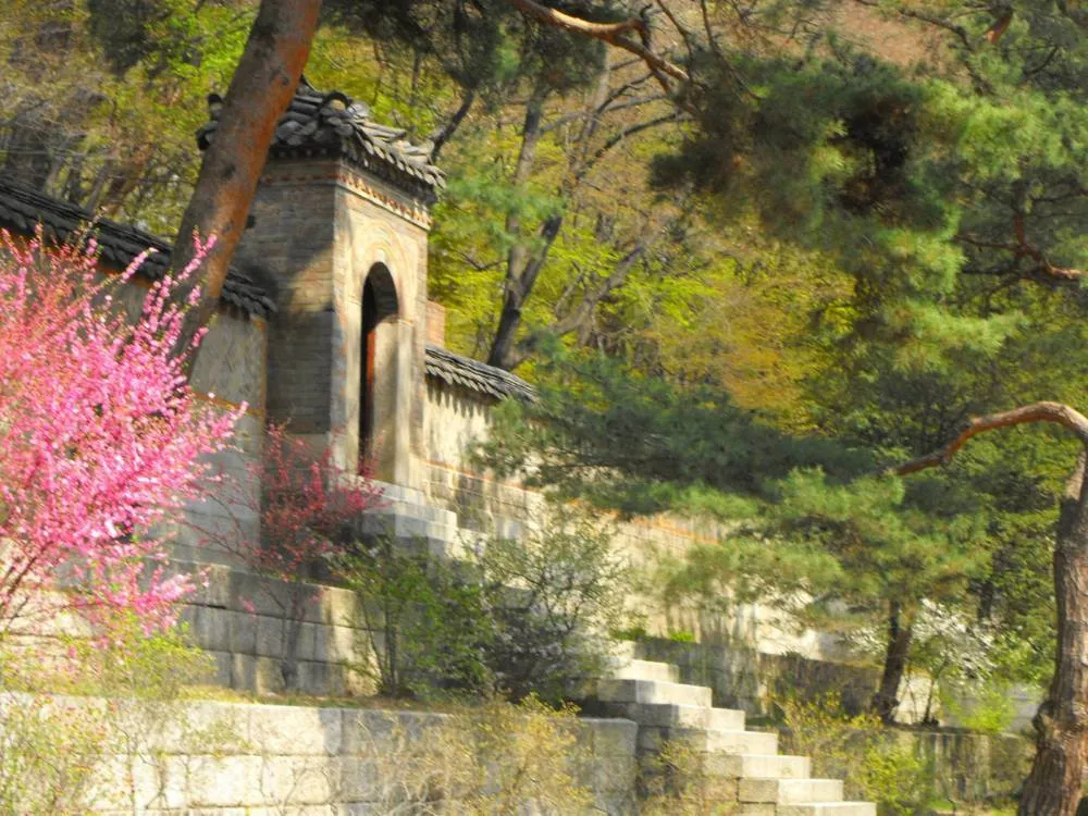 Destination: Changdeokgung (palace) and Biwon, the Secret Garden Destination: Changdeokgung (palace) and Biwon, the Secret Garden - South Korea -