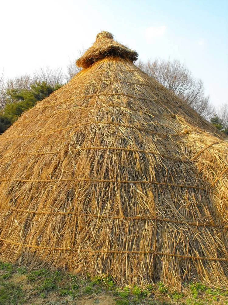 Destination: Amsa Prehistoric Settlement Site Destination: Amsa Prehistoric Settlement Site - South Korea -