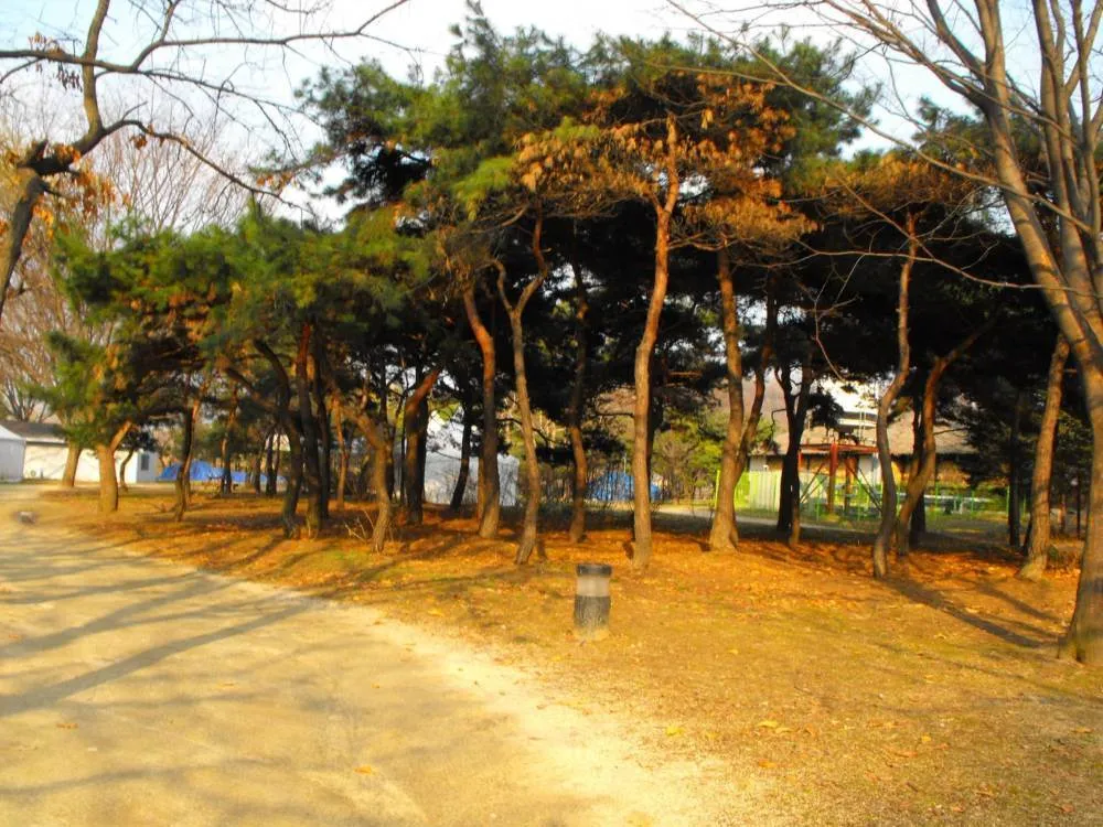 Destination: Amsa Prehistoric Settlement Site Destination: Amsa Prehistoric Settlement Site - South Korea -