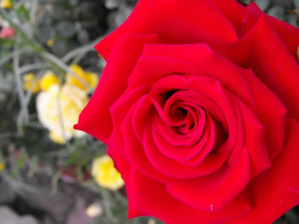 Destination: Chuncheon (day trip to Gangwon-do) - South Korea -