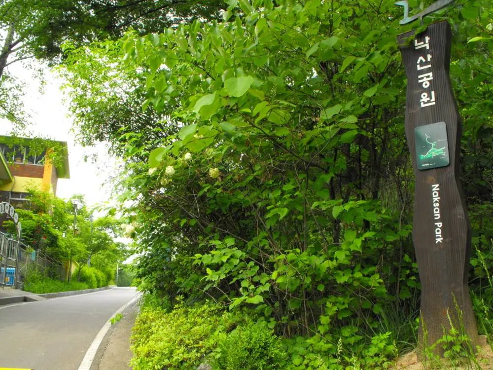 Destination: Naksan Park - an artsy, peaceful stop uphill in Seoul (South Korea) Destination: Naksan Park - an artsy, peaceful stop uphill in Seoul (South Korea) - South Korea -