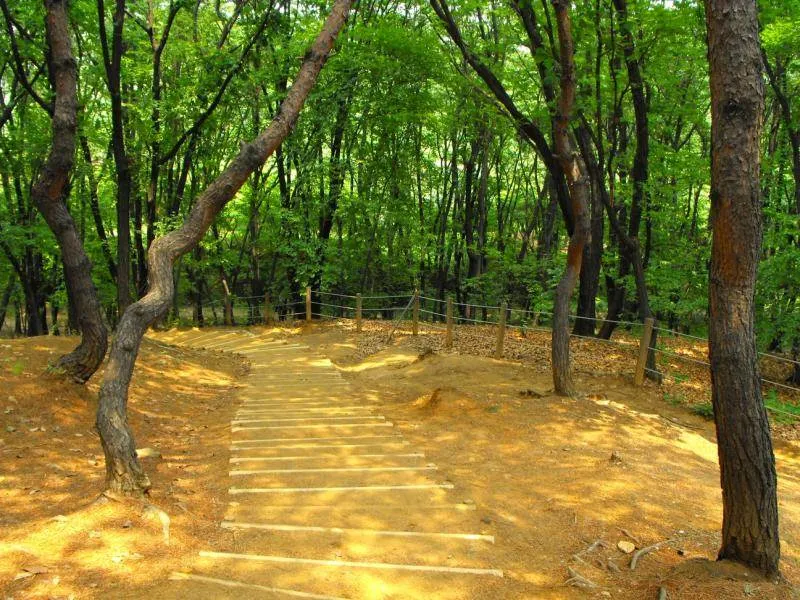 Destination: Seonjeongneung (a Joseon Dynasty royal tomb and park) (Seoul, South Korea) Destination: Seonjeongneung (a Joseon Dynasty royal tomb and park) (Seoul, South Korea) - South Korea -