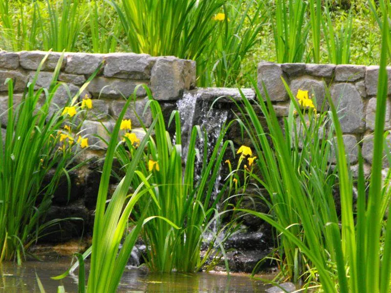 Destination: Hyochang Park - a historic park with tombs (Seoul, South Korea) - South Korea -