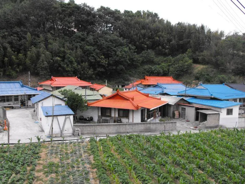 Destination: Haesindang Park - the park of wooden phalluses, anyone? (Samcheok, Gangwon-do, South Korea) (NSFW) - South Korea -