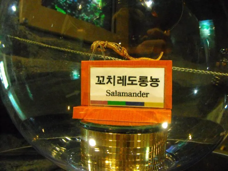 Destination: Expo Park — or — is that a overflowing, radioactive, wedding cake? (Samcheok, Gangwon-do, South Korea)) Destination: Expo Park — or — is that a overflowing, radioactive, wedding cake? (Samcheok, Gangwon-do, South Korea)) - South Korea -