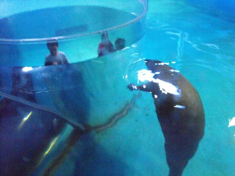 Destination: Busan Aquarium (Busan, South Korea) Destination: Busan Aquarium (Busan, South Korea) - South Korea -