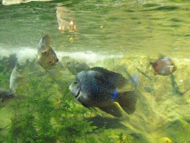 Destination: Busan Aquarium (Busan, South Korea) - South Korea -