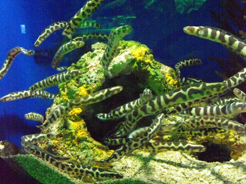 Destination: Busan Aquarium (Busan, South Korea) Destination: Busan Aquarium (Busan, South Korea) - South Korea -