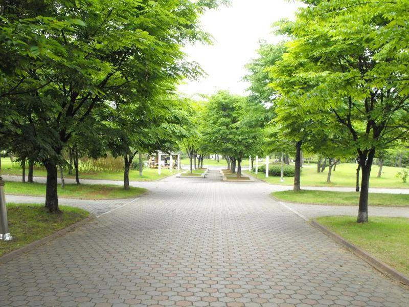 Destination: Incheon Central Park / Jungang Park (Incheon) Destination: Incheon Central Park / Jungang Park (Incheon) - South Korea -