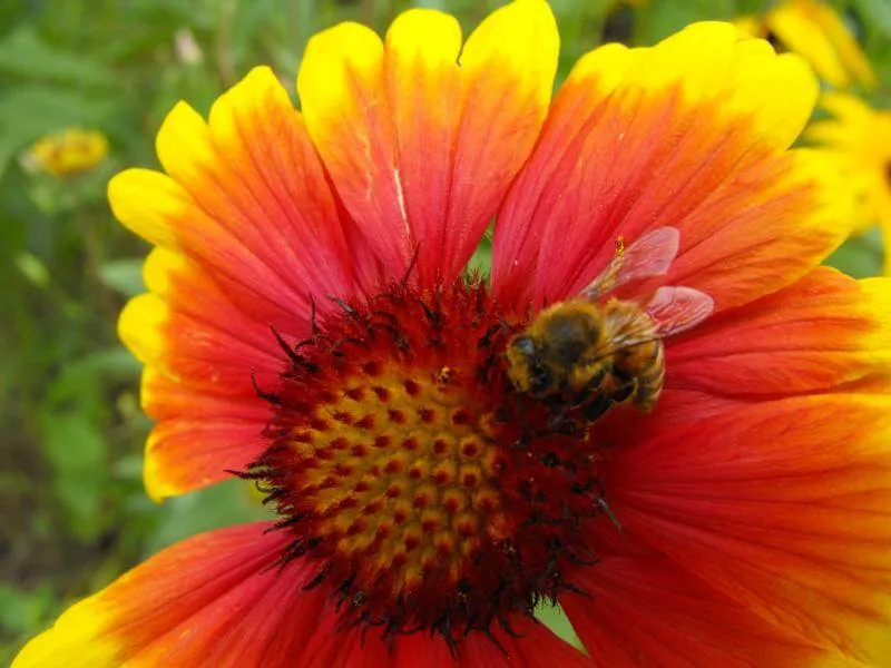 Destination: Incheon Central Park / Jungang Park (Incheon) Destination: Incheon Central Park / Jungang Park (Incheon) - South Korea -