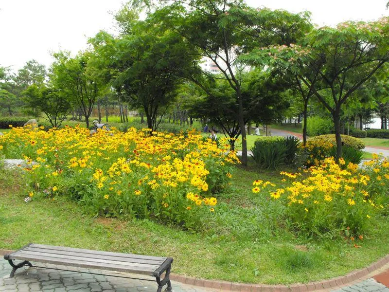 Destination: Incheon Central Park / Jungang Park (Incheon) Destination: Incheon Central Park / Jungang Park (Incheon) - South Korea -