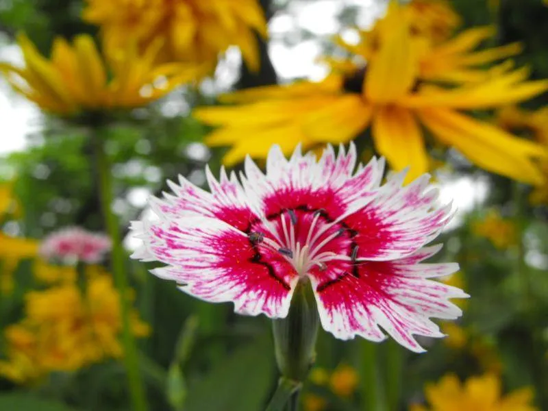 Destination: Incheon Central Park / Jungang Park (Incheon) Destination: Incheon Central Park / Jungang Park (Incheon) - South Korea -