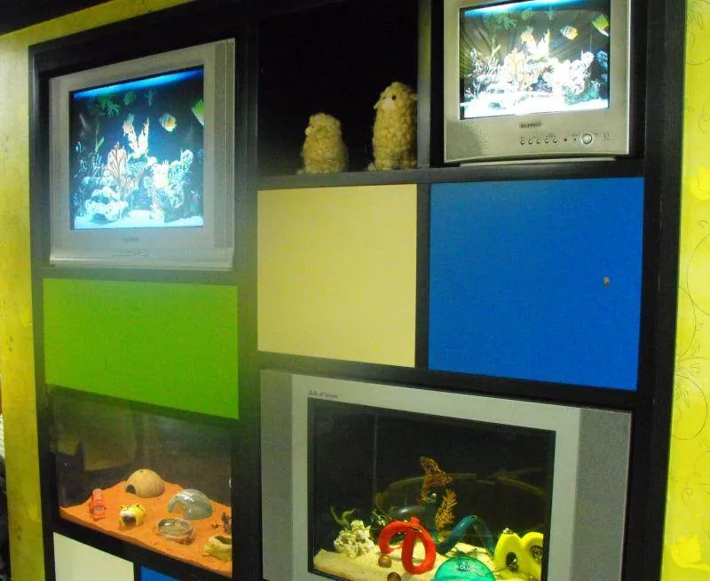 Destination: COEX aquarium - one of the biggest in the country (Seoul, South Korea) Destination: COEX aquarium - one of the biggest in the country (Seoul, South Korea) - South Korea -