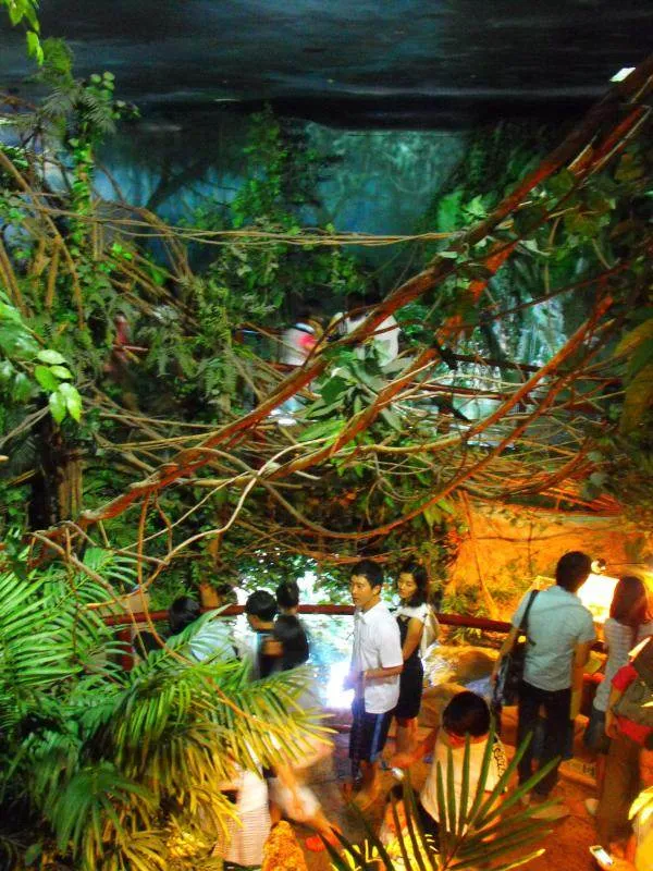 Destination: COEX aquarium - one of the biggest in the country (Seoul, South Korea) Destination: COEX aquarium - one of the biggest in the country (Seoul, South Korea) - South Korea -