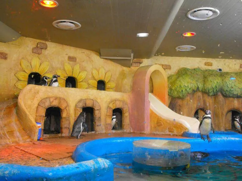 Destination: COEX aquarium - one of the biggest in the country (Seoul, South Korea) Destination: COEX aquarium - one of the biggest in the country (Seoul, South Korea) - South Korea -