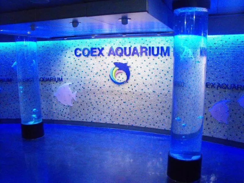 Destination: COEX aquarium - one of the biggest in the country (Seoul, South Korea) - South Korea -