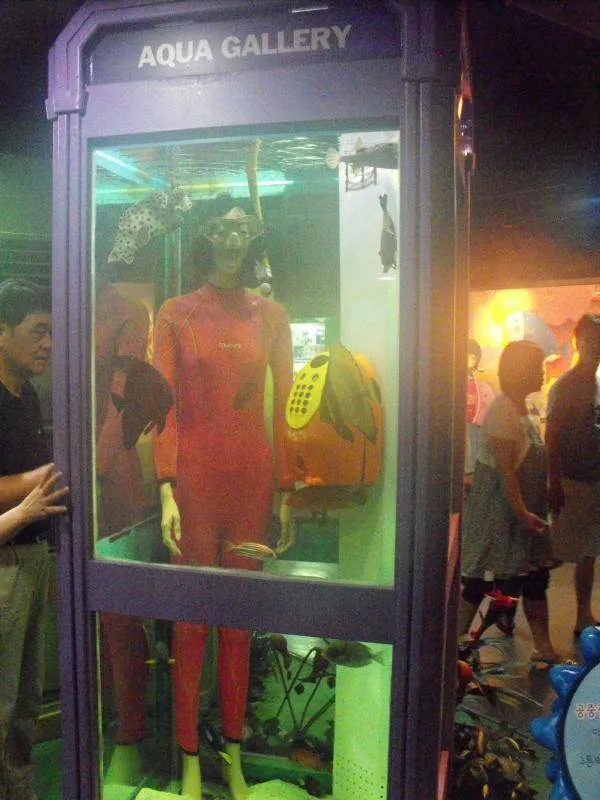 Destination: COEX aquarium - one of the biggest in the country (Seoul, South Korea) Destination: COEX aquarium - one of the biggest in the country (Seoul, South Korea) - South Korea -
