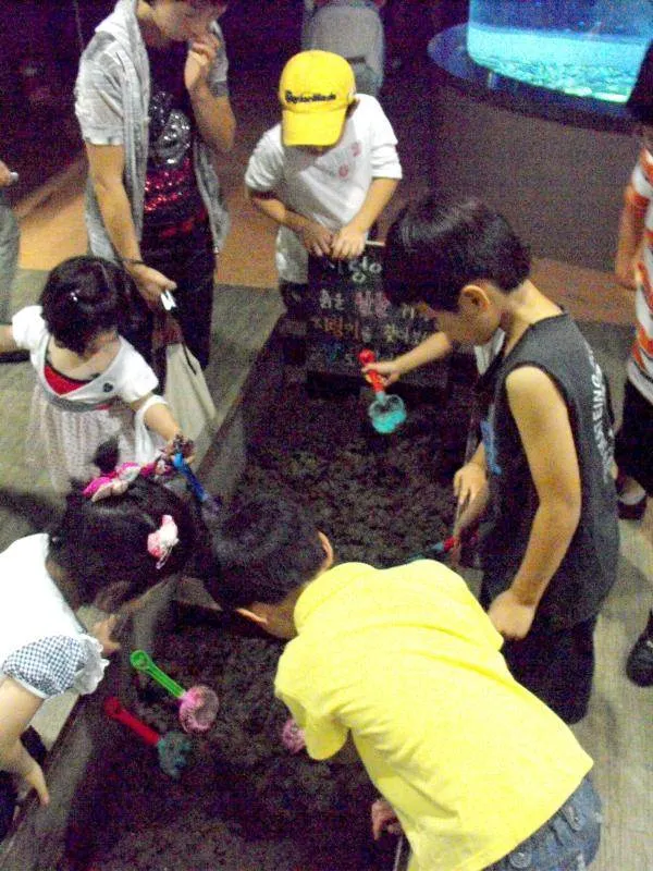 Destination: COEX aquarium - one of the biggest in the country (Seoul, South Korea) Destination: COEX aquarium - one of the biggest in the country (Seoul, South Korea) - South Korea -