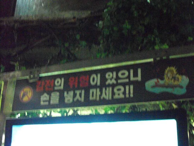 Destination: COEX aquarium - one of the biggest in the country (Seoul, South Korea) Destination: COEX aquarium - one of the biggest in the country (Seoul, South Korea) - South Korea -