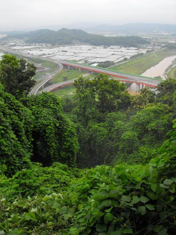 Destination: Haengju Fortress Park (Goyang, South Korea) Destination: Haengju Fortress Park (Goyang, South Korea) - South Korea -