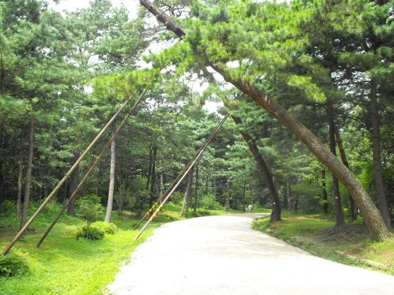 Destination: Dongguneung - a Joseon Dynasty Tomb and UNESCO World Heritage Site (Guri, South Korea) - South Korea -