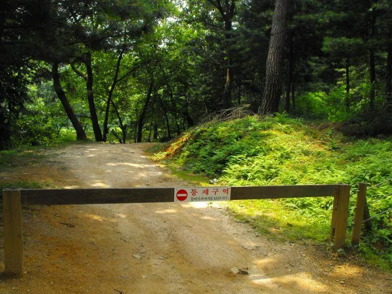 Destination: Dongguneung - a Joseon Dynasty Tomb and UNESCO World Heritage Site (Guri, South Korea) - South Korea -
