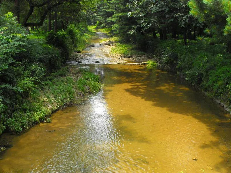 Destination: Dongguneung - a Joseon Dynasty Tomb and UNESCO World Heritage Site (Guri, South Korea) - South Korea -