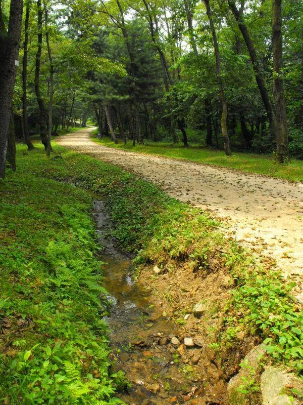 Destination: Dongguneung - a Joseon Dynasty Tomb and UNESCO World Heritage Site (Guri, South Korea) - South Korea -