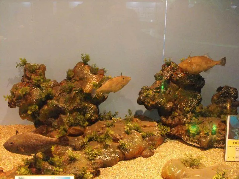 Destination: Seoul National Science Museum / American Museum of Natural History Destination: Seoul National Science Museum / American Museum of Natural History - South Korea -