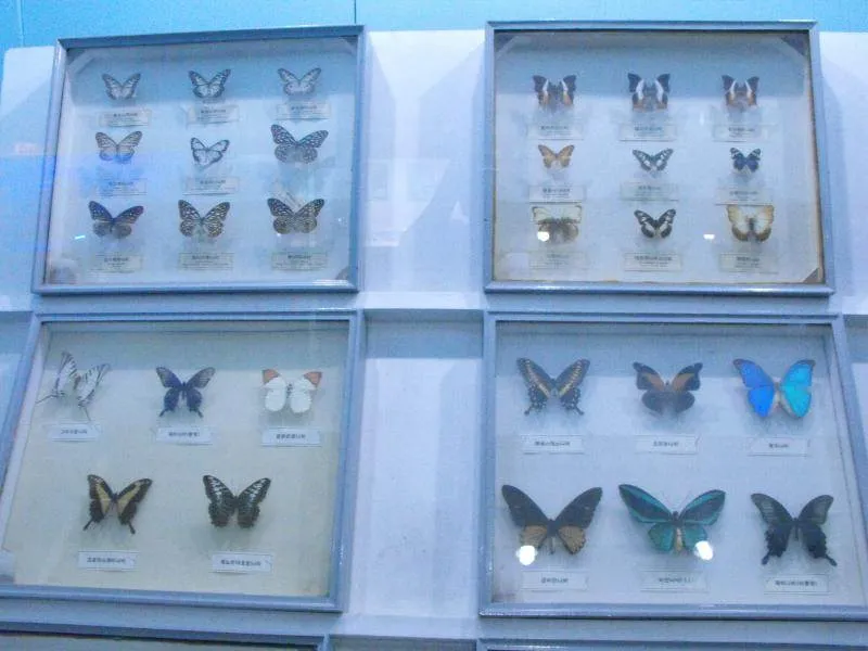 Destination: Seoul National Science Museum / American Museum of Natural History Destination: Seoul National Science Museum / American Museum of Natural History - South Korea -