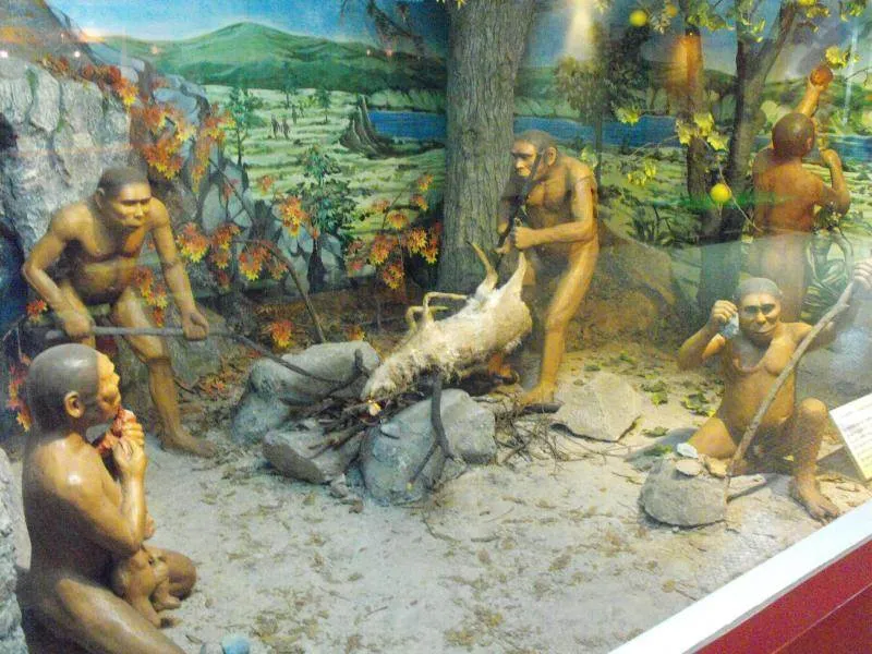 Destination: Seoul National Science Museum / American Museum of Natural History Destination: Seoul National Science Museum / American Museum of Natural History - South Korea -