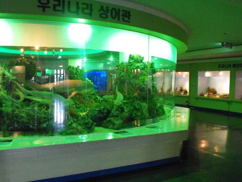 Destination: Seoul National Science Museum / American Museum of Natural History Destination: Seoul National Science Museum / American Museum of Natural History - South Korea -