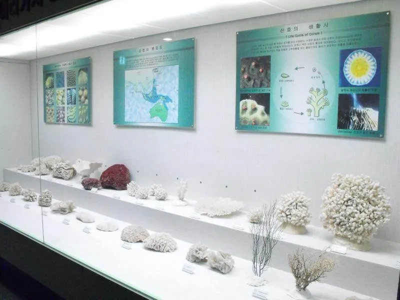Destination: Seoul National Science Museum / American Museum of Natural History Destination: Seoul National Science Museum / American Museum of Natural History - South Korea -