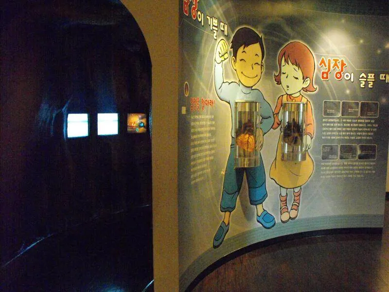 Destination: Seoul National Science Museum / American Museum of Natural History Destination: Seoul National Science Museum / American Museum of Natural History - South Korea -
