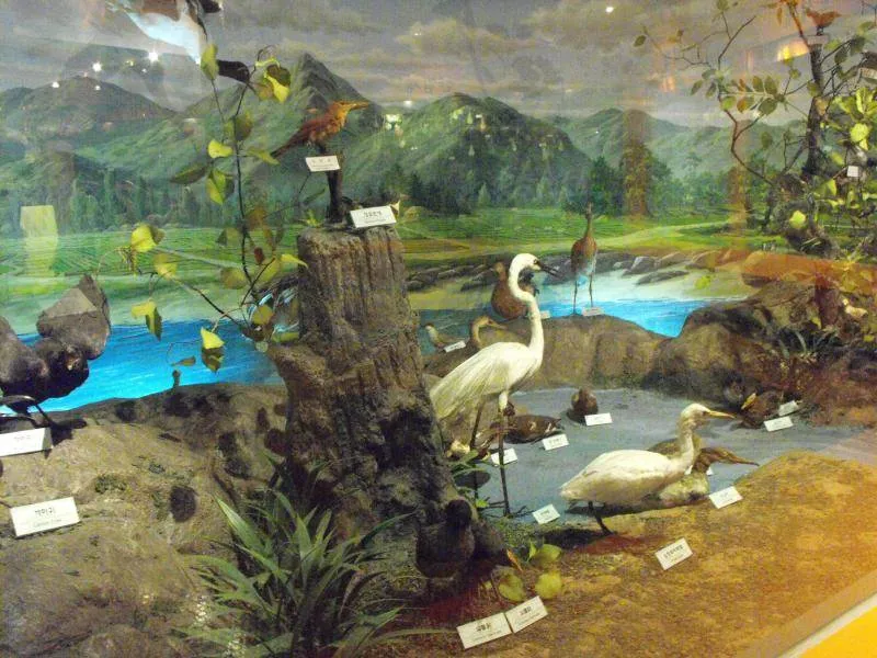 Destination: Seoul National Science Museum / American Museum of Natural History Destination: Seoul National Science Museum / American Museum of Natural History - South Korea -
