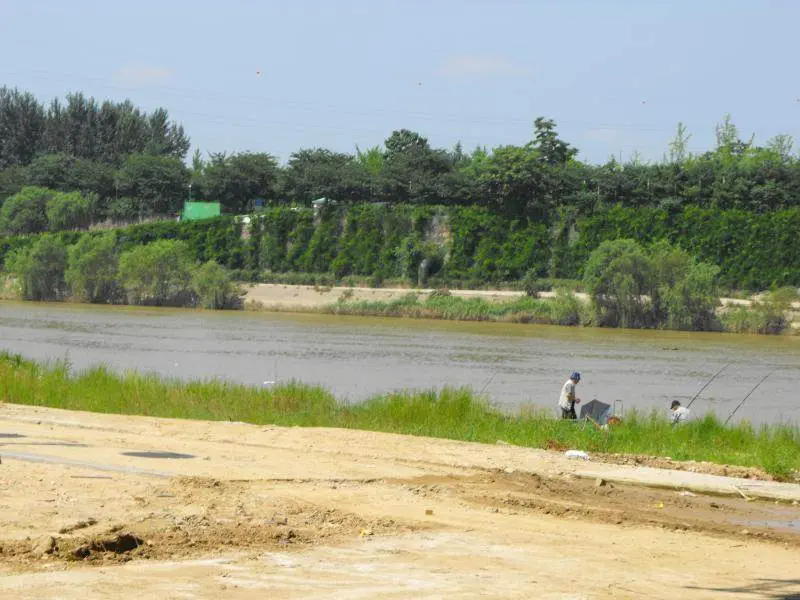 Destination: Seonyudo Park - plenty of nature on display (Seoul, South Korea) - South Korea -