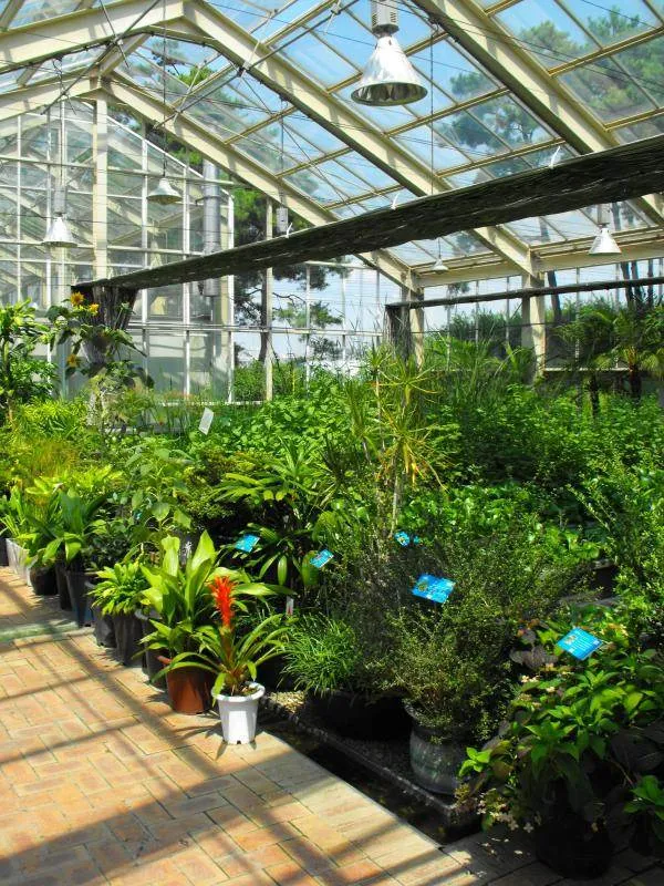 Destination: Seonyudo Park - plenty of nature on display (Seoul, South Korea) - South Korea -