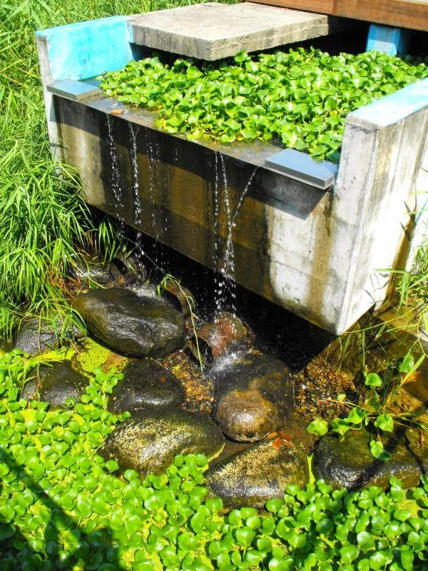 Destination: Seonyudo Park - plenty of nature on display (Seoul, South Korea) - South Korea -