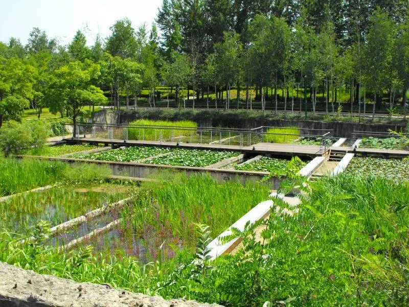 Destination: Seonyudo Park - plenty of nature on display (Seoul, South Korea) - South Korea -