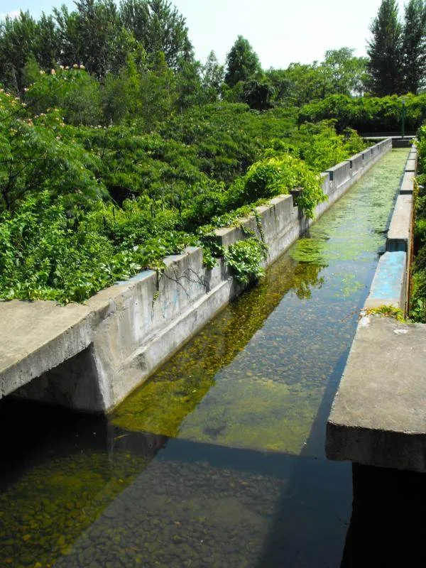 Destination: Seonyudo Park - plenty of nature on display (Seoul, South Korea) - South Korea -