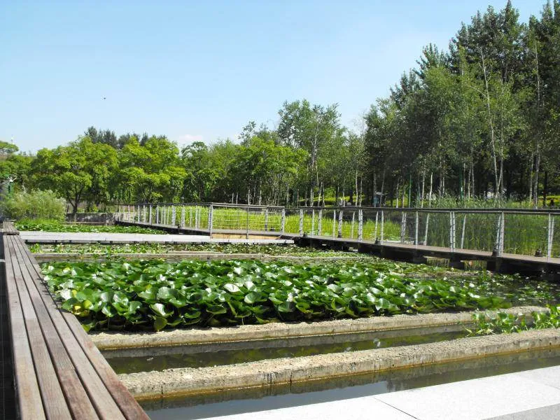 Destination: Seonyudo Park - plenty of nature on display (Seoul, South Korea) - South Korea -