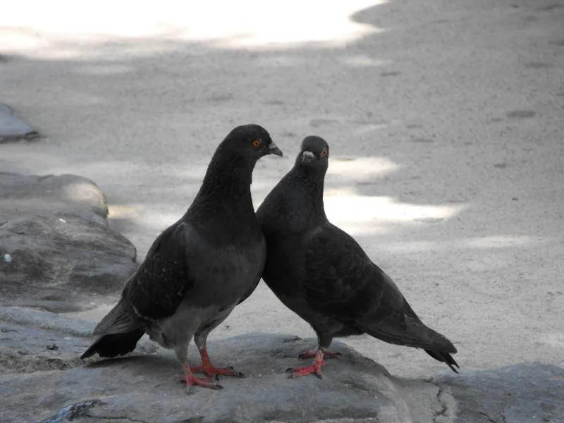 Destination: Seonyudo Park - plenty of nature on display (Seoul, South Korea) - South Korea -