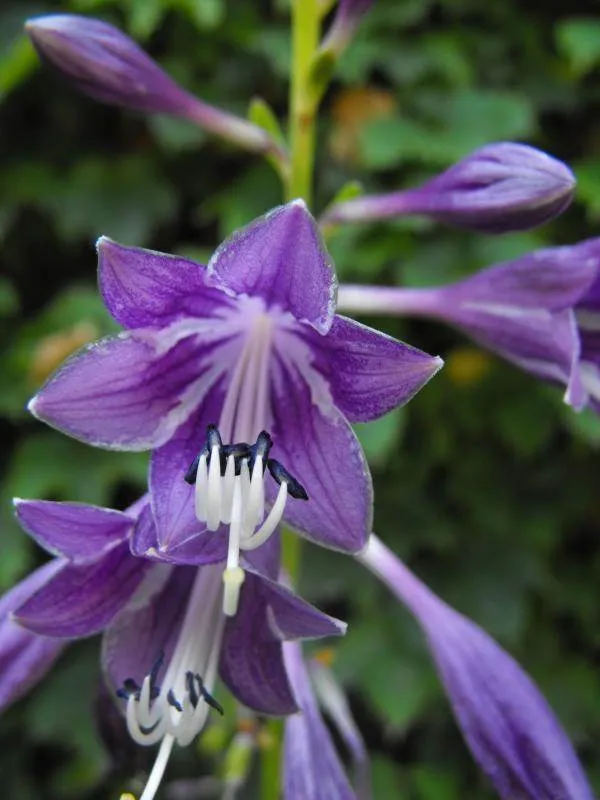 Destination: Seonyudo Park - plenty of nature on display (Seoul, South Korea) - South Korea -