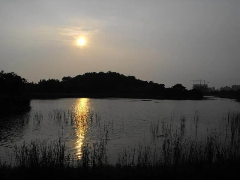 Destination: Lake Park - boring name, beautiful scenery (Ilsan / Goyang, South Korea) - South Korea -