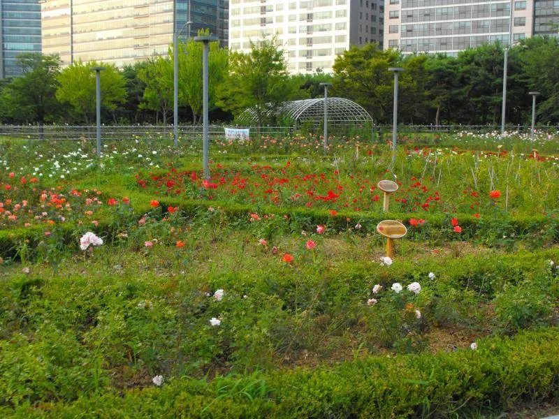 Destination: Lake Park - boring name, beautiful scenery (Ilsan / Goyang, South Korea) - South Korea -