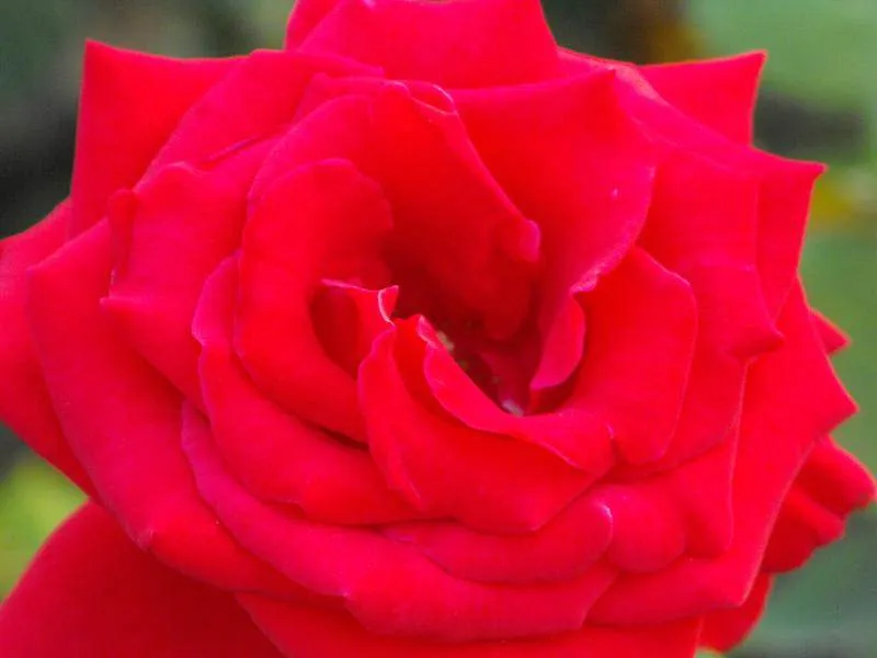 Destination: Lake Park - boring name, beautiful scenery (Ilsan / Goyang, South Korea) - South Korea -