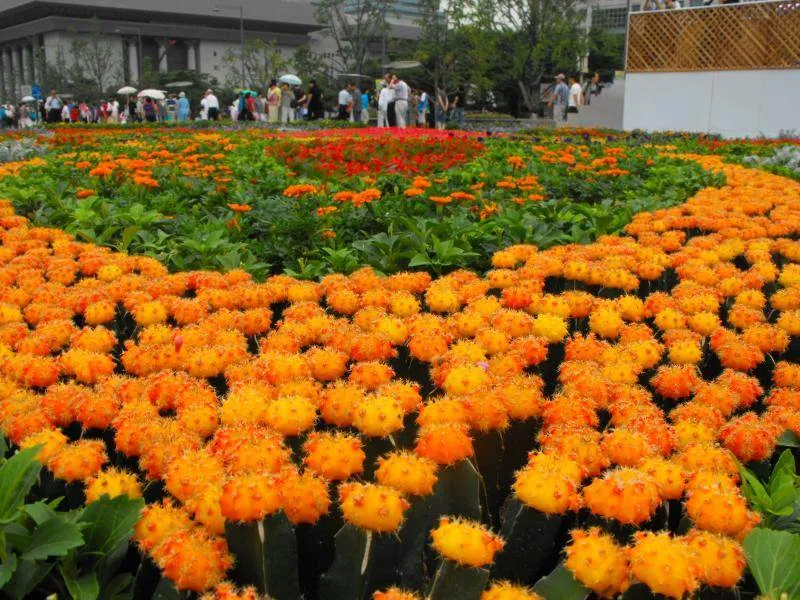Destination: Gwanghwamun Plaza - a buzzing urban area in the heart of Seoul (South Korea) Destination: Gwanghwamun Plaza - a buzzing urban area in the heart of Seoul (South Korea) - South Korea -