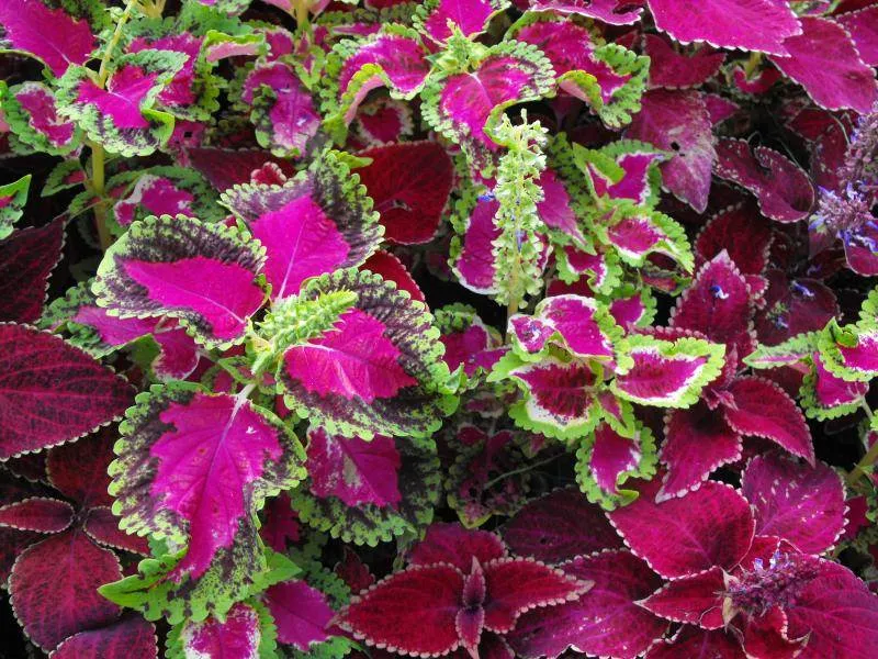 Destination: Lake Park - boring name, beautiful scenery (Ilsan / Goyang, South Korea) - South Korea -