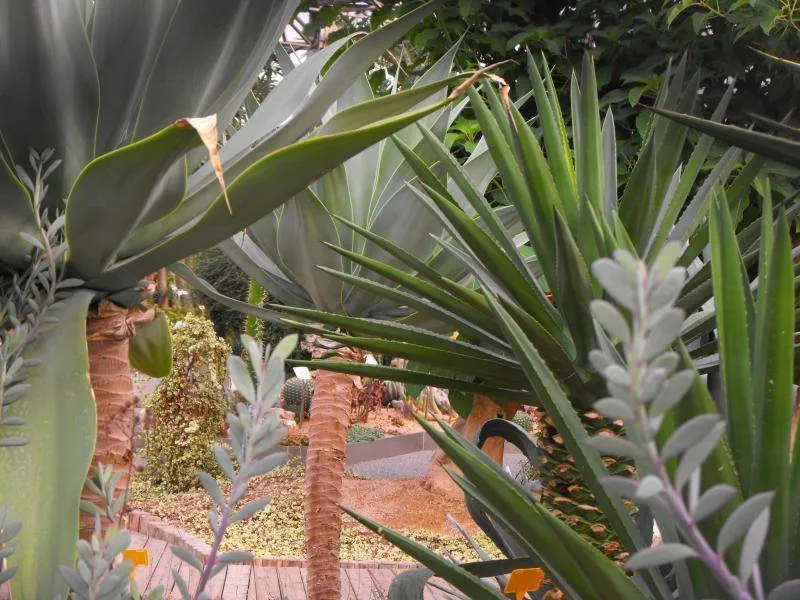 Destination: Lake Park - boring name, beautiful scenery (Ilsan / Goyang, South Korea) - South Korea -